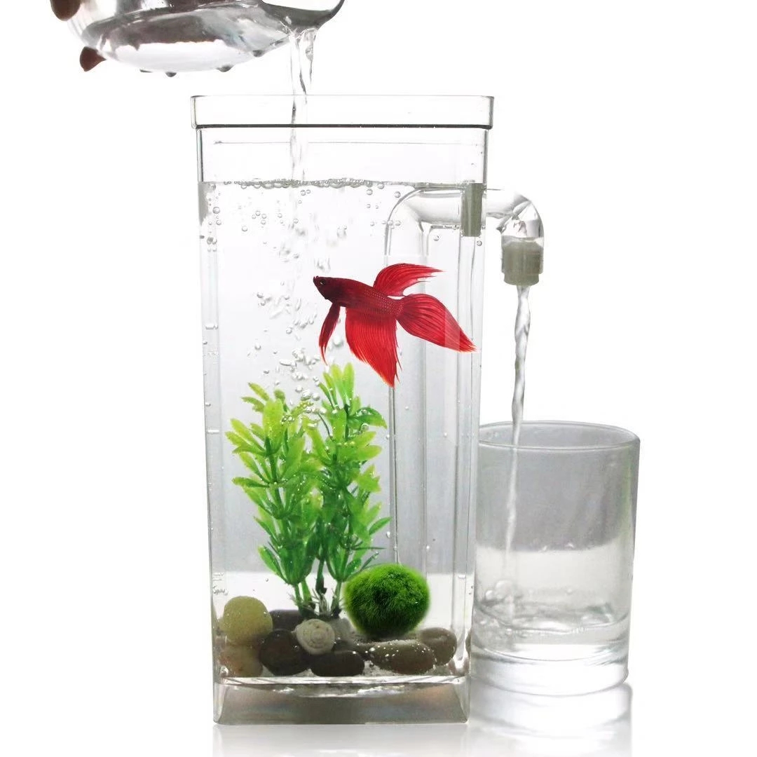 Betta Fish Tank - Serbatoio per pesci da tavolo con