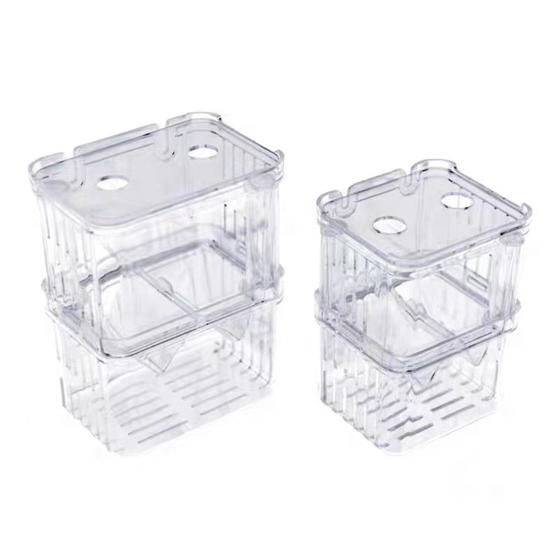 Aquarium Fish Betta - 1 Pezzo Scatola per Allevamento Pesci