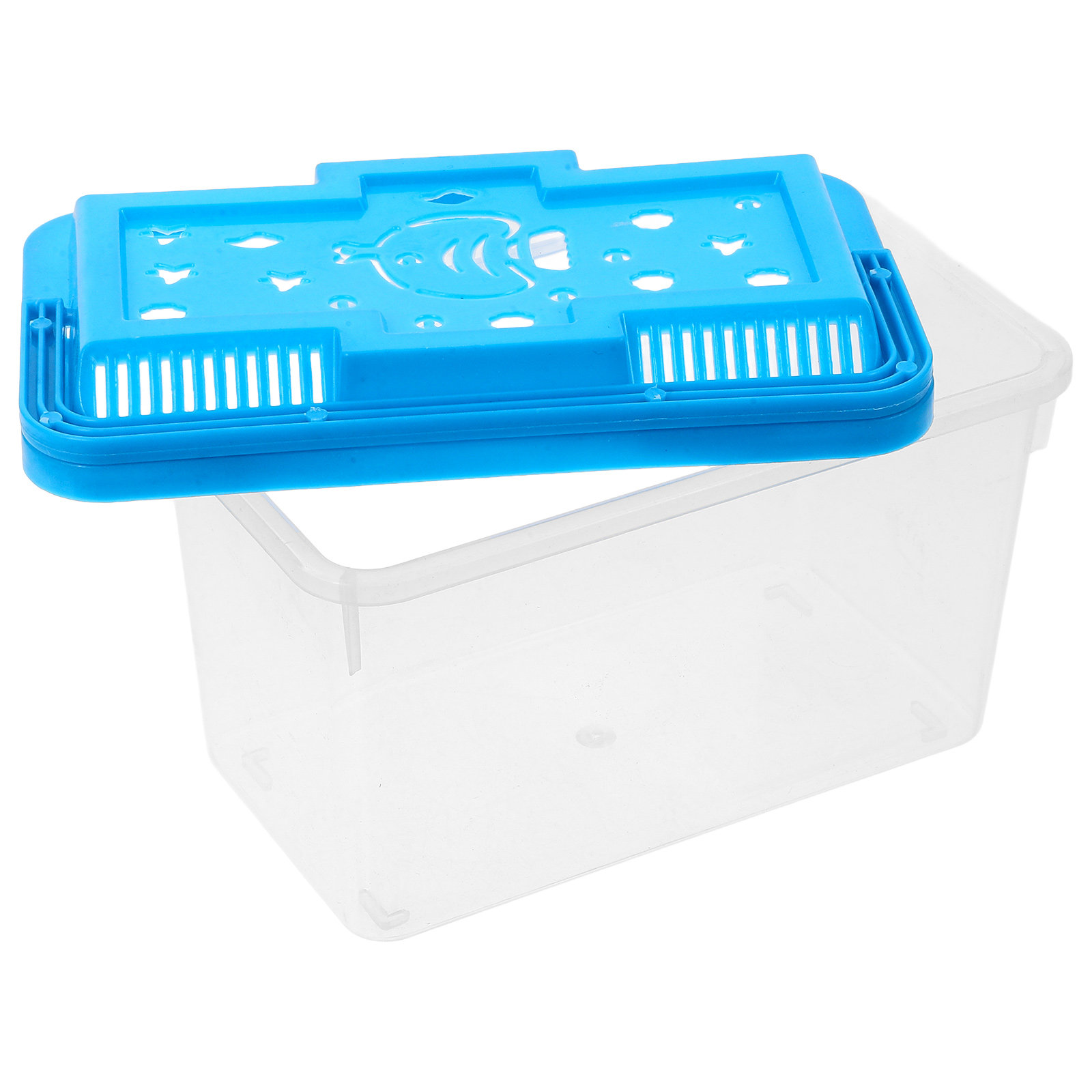 Betta Fish Tank - Acquario trasparente per pesci, ideale per