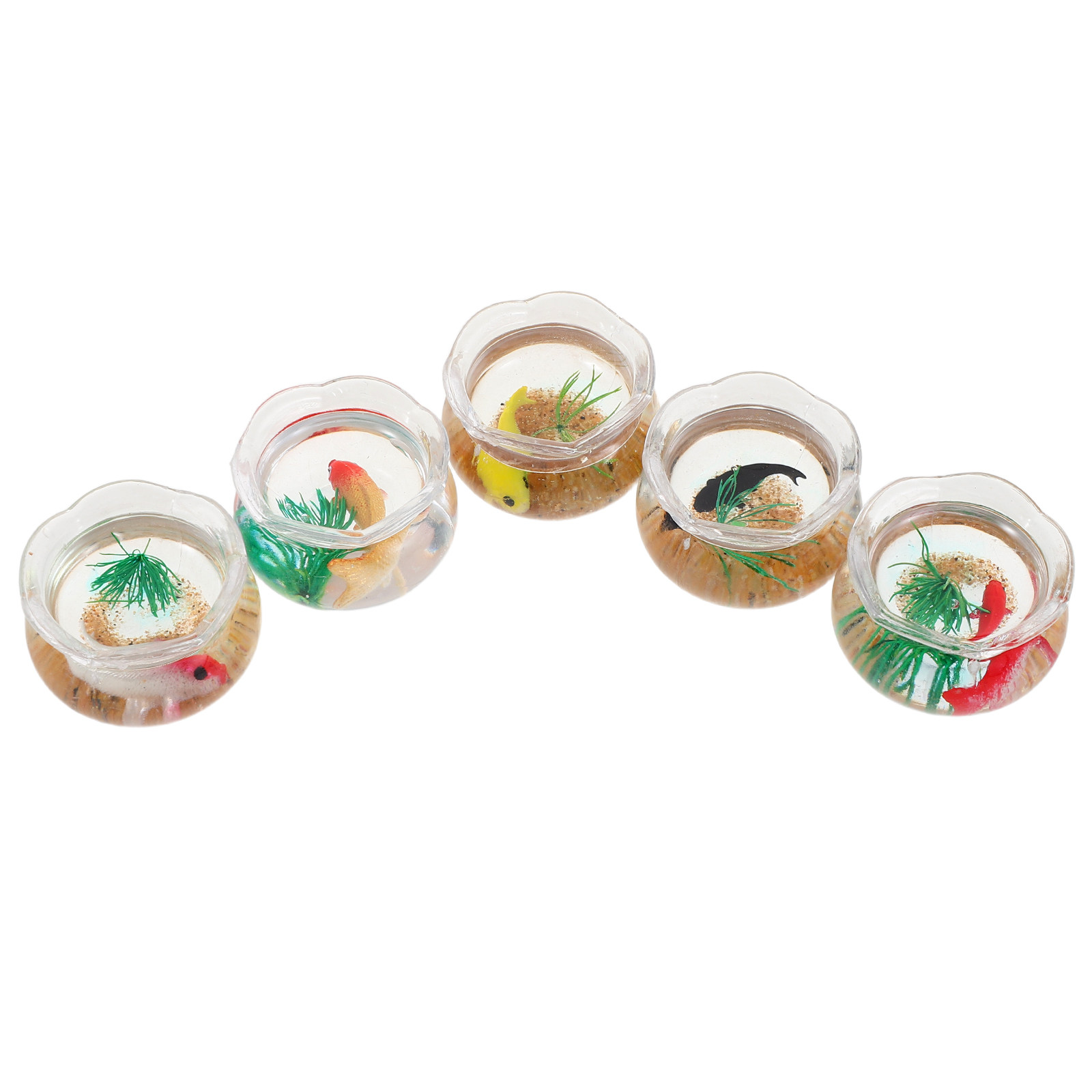 Aquarium Plants - Set da 5 mini acquari per