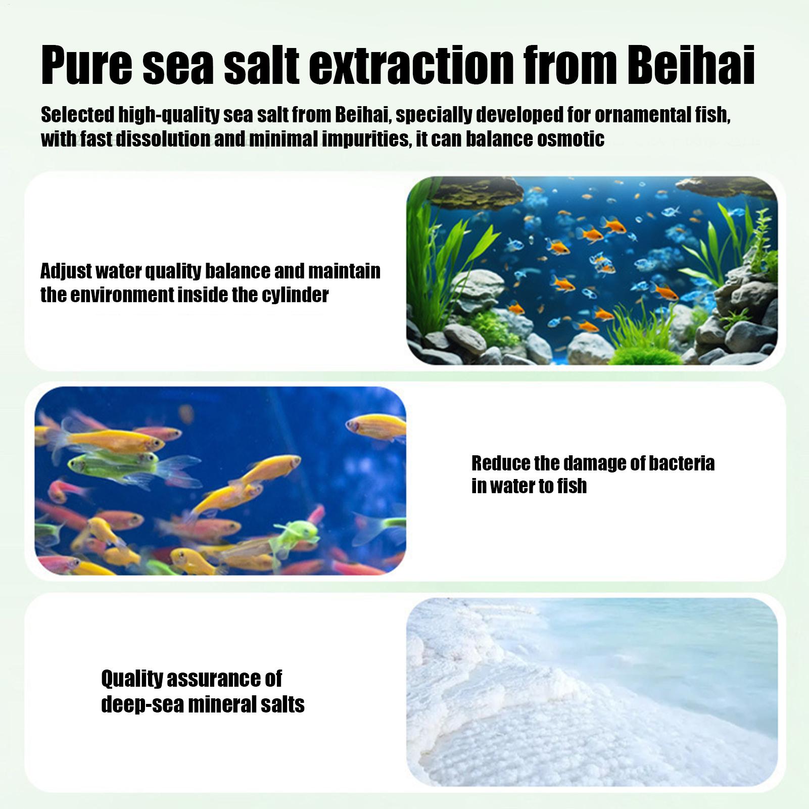 Purificatore d'acqua per acqua - Betta Fish Tank recensione e prezzo