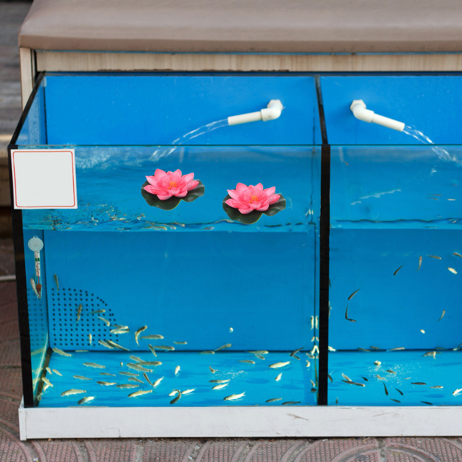 12 fiori artificiali galleggia - Aquarium Plants recensione e prezzo