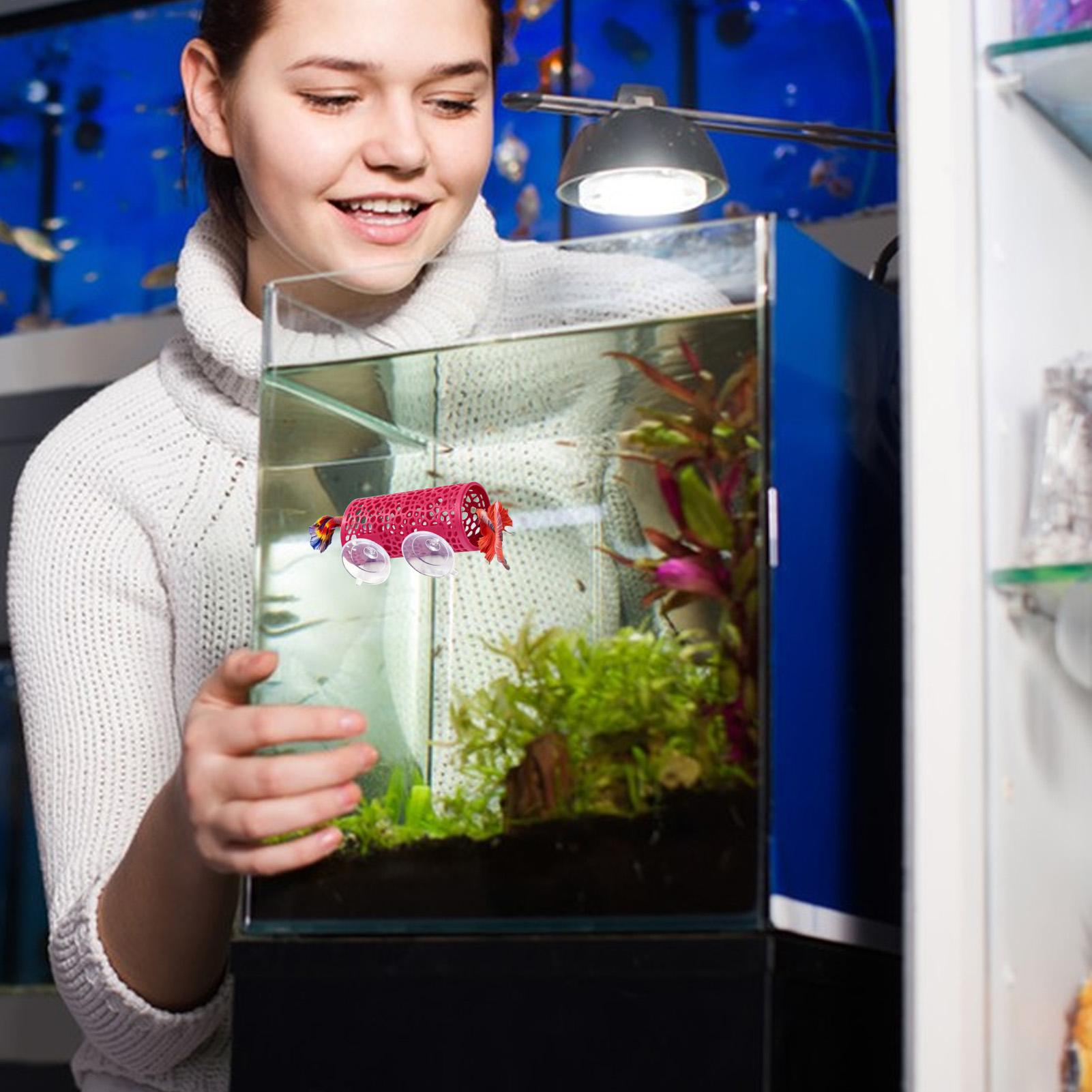 Tunnel Giocattolo per Pesci Be - Betta Fish Tank recensione e prezzo