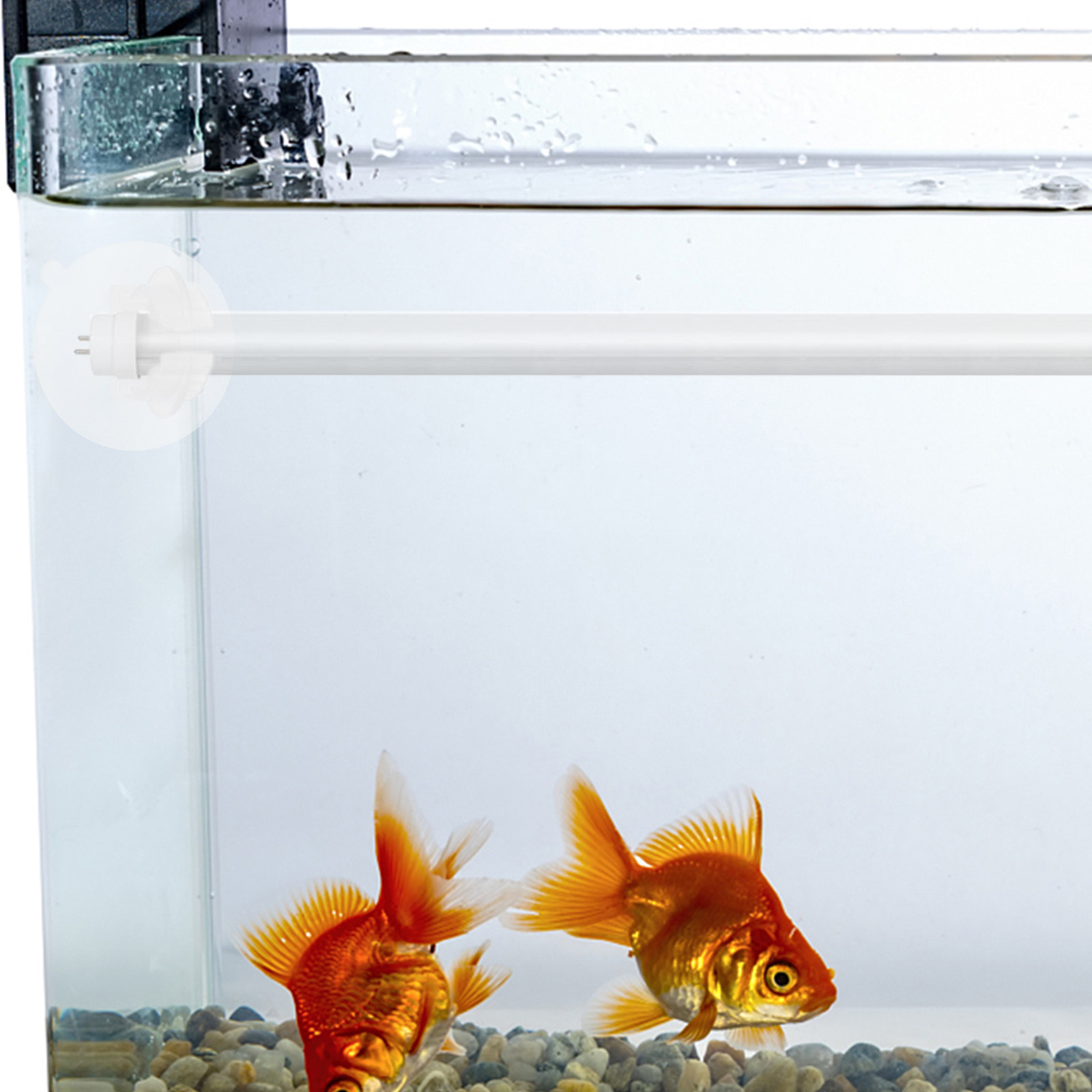 6 pezzi di supporti in silicon - Aquarium Plants recensione e prezzo