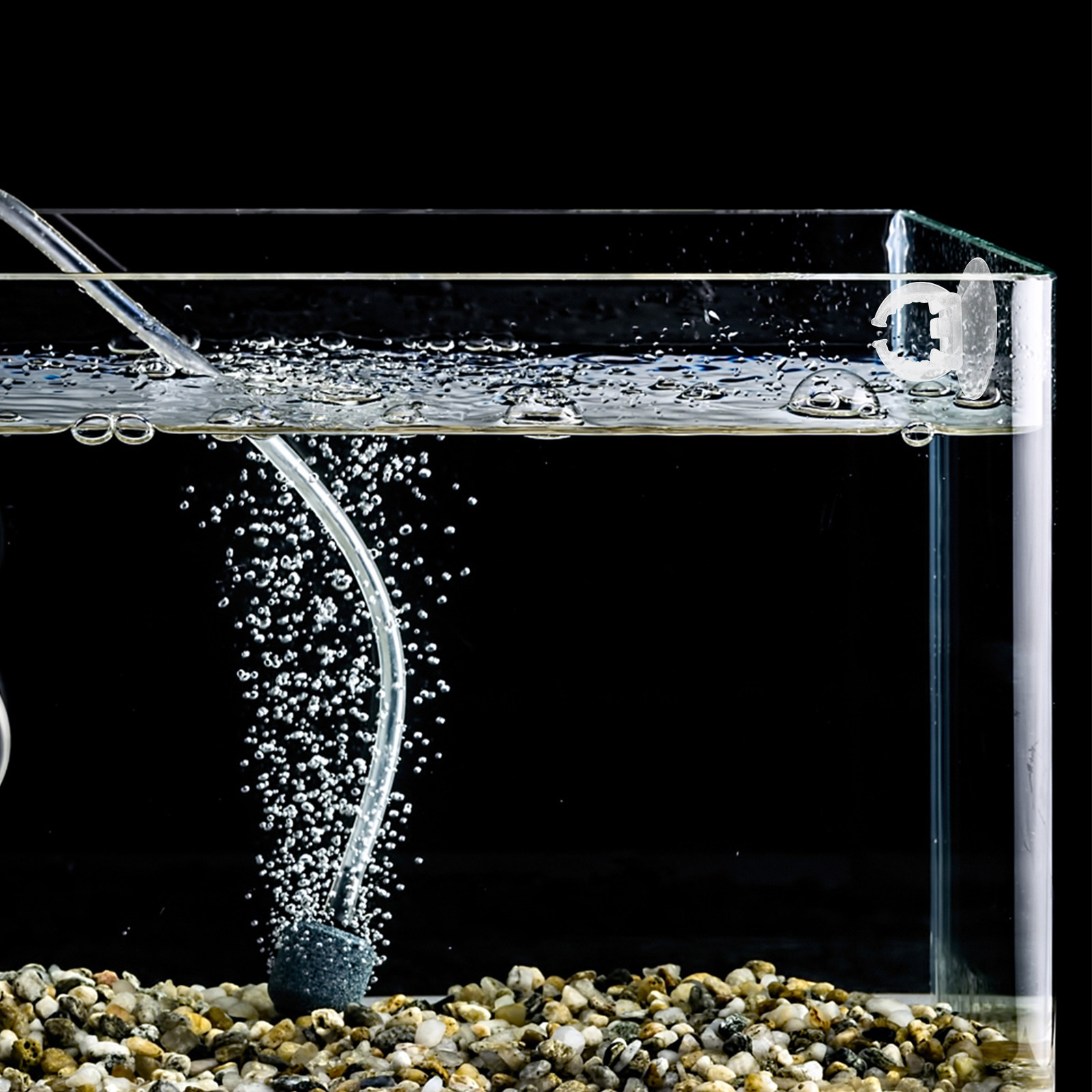 6 pezzi di supporti in silicon - Aquarium Plants recensione e prezzo