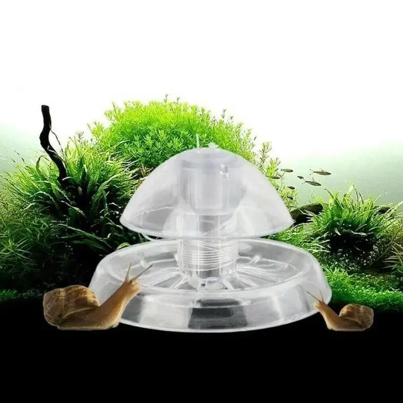 Nuova Trappola per Lumache in  - Fish Aquarium Home recensione e prezzo