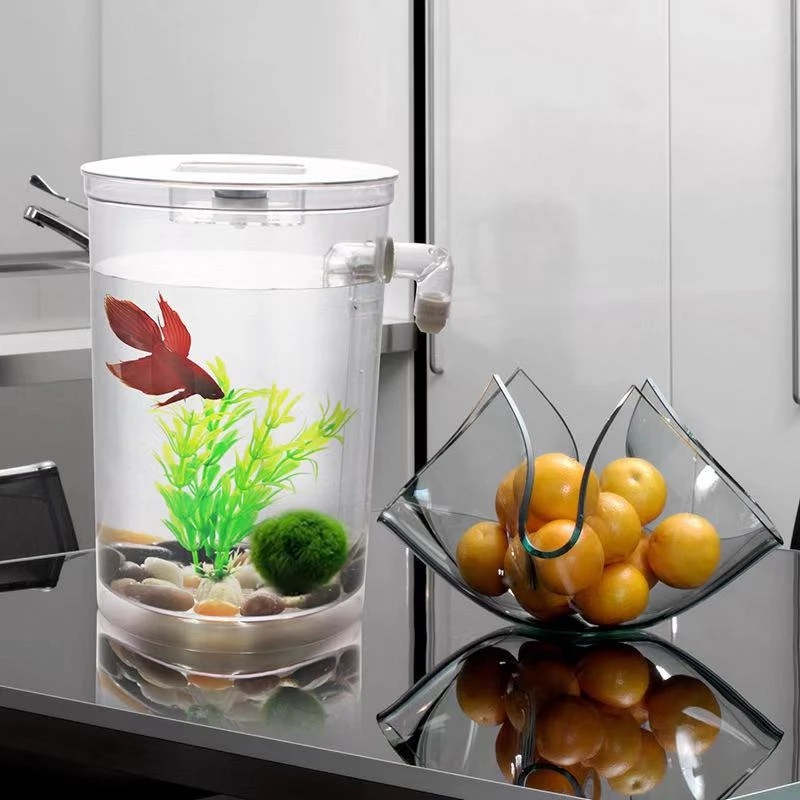 Serbatoio per pesci da tavolo  - Betta Fish Tank recensione e prezzo
