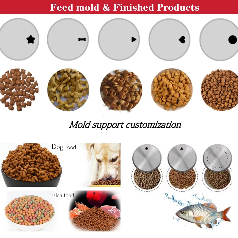 Macchina Estrusore per la Prod - Fish Food recensione e prezzo