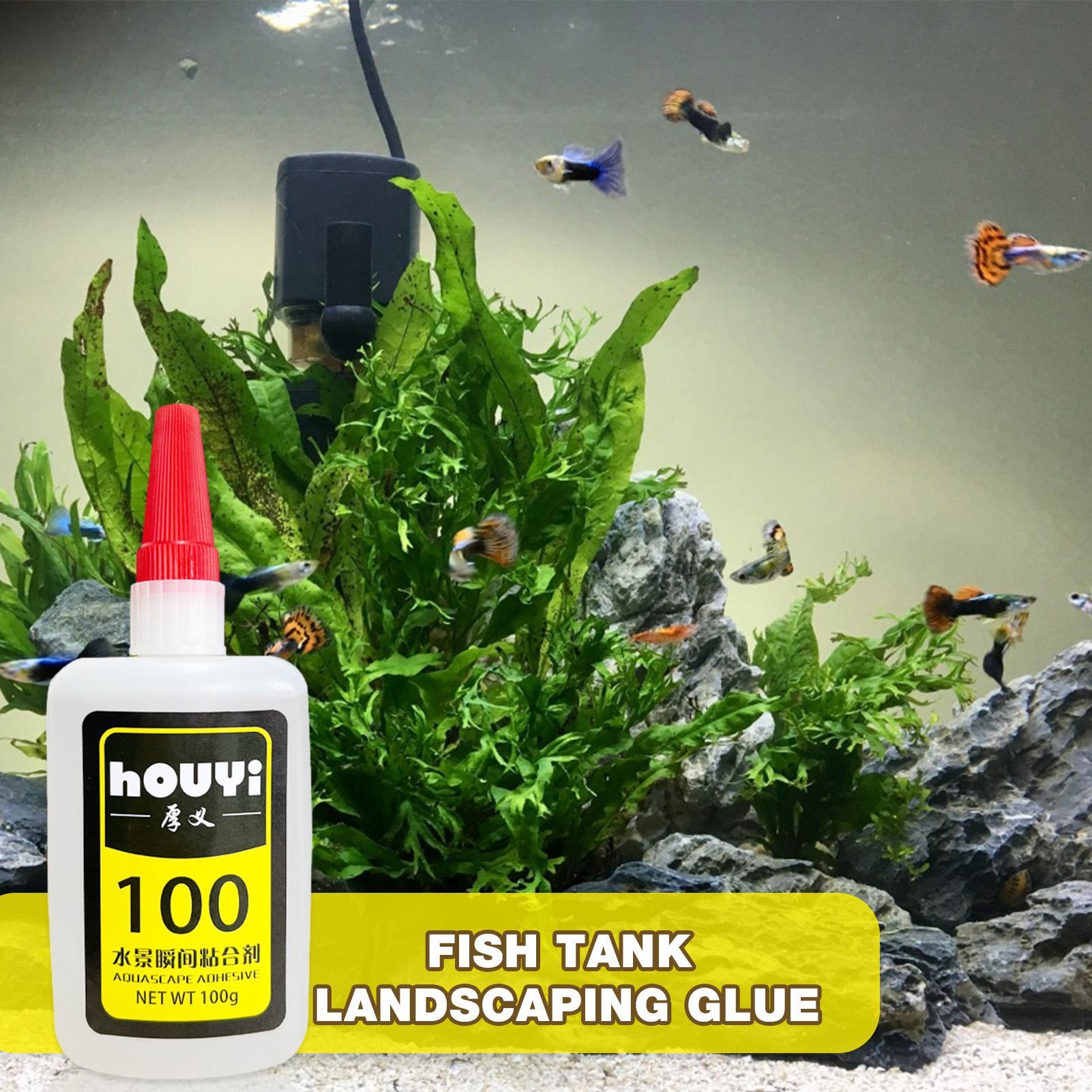 50/100g Colla istantanea trasp - Aquarium Plants recensione e prezzo