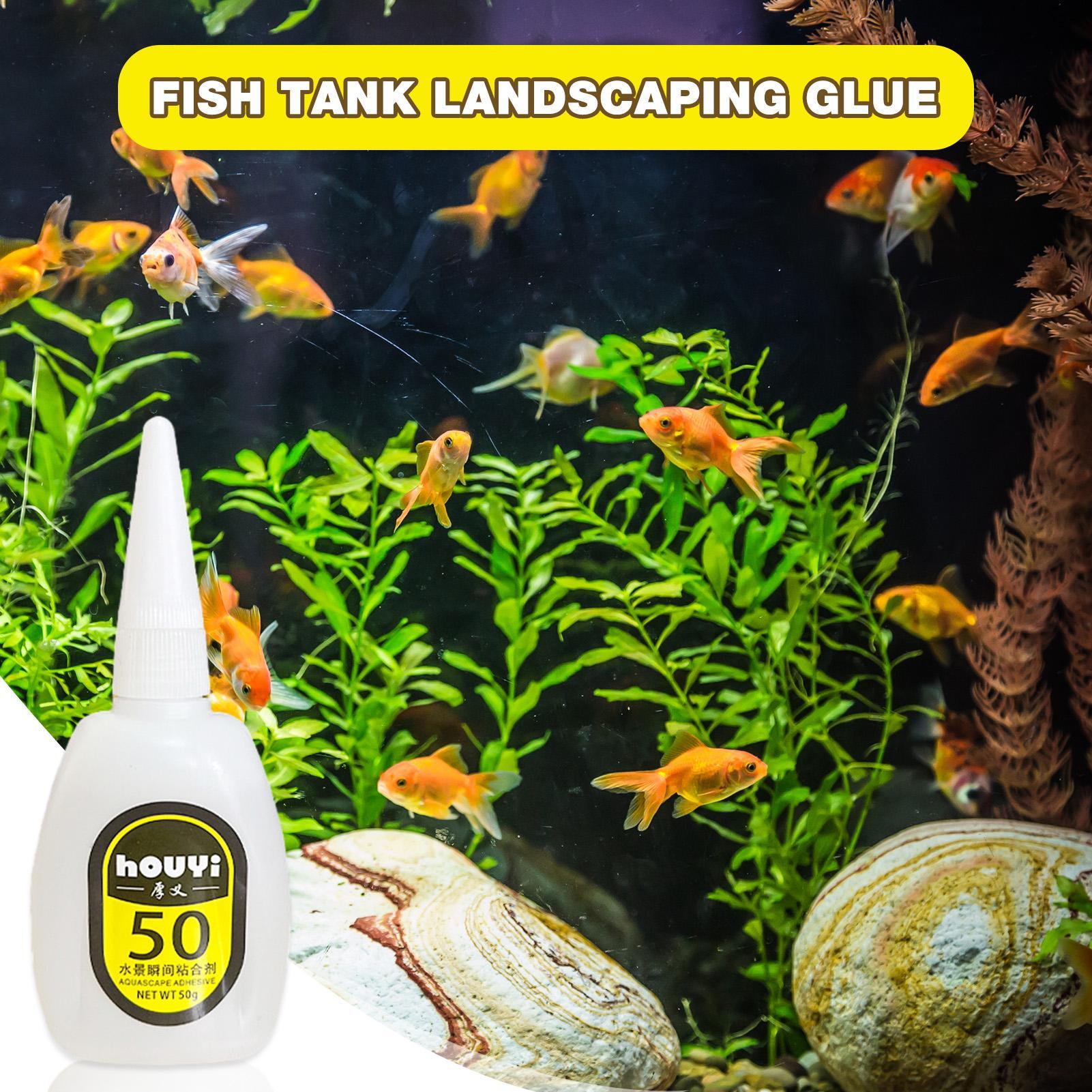 50/100g Colla istantanea trasp - Aquarium Plants recensione e prezzo