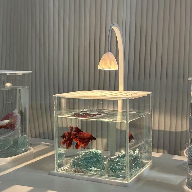 Acquario in acrilico con paesa - Aquarium Fish Betta recensione e prezzo