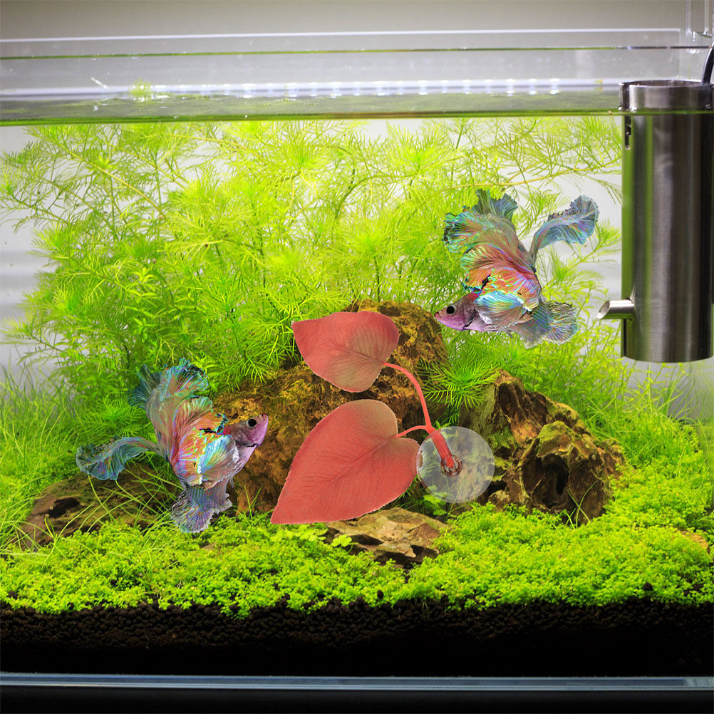 2 pezzi di lettino a forma di  - Aquarium Fish Betta recensione e prezzo