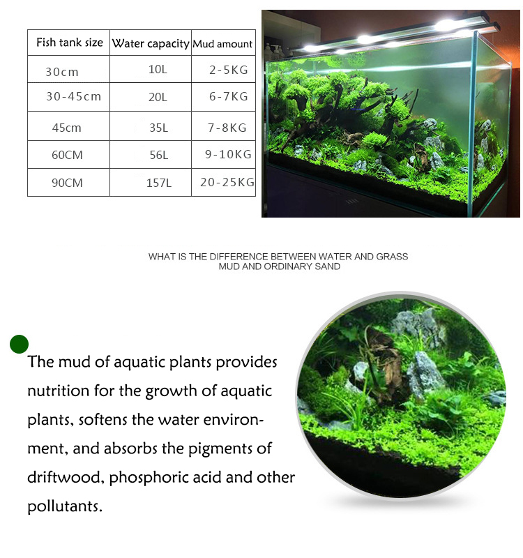 Acquario semi di piante terren - Fish Aquarium Home recensione e prezzo