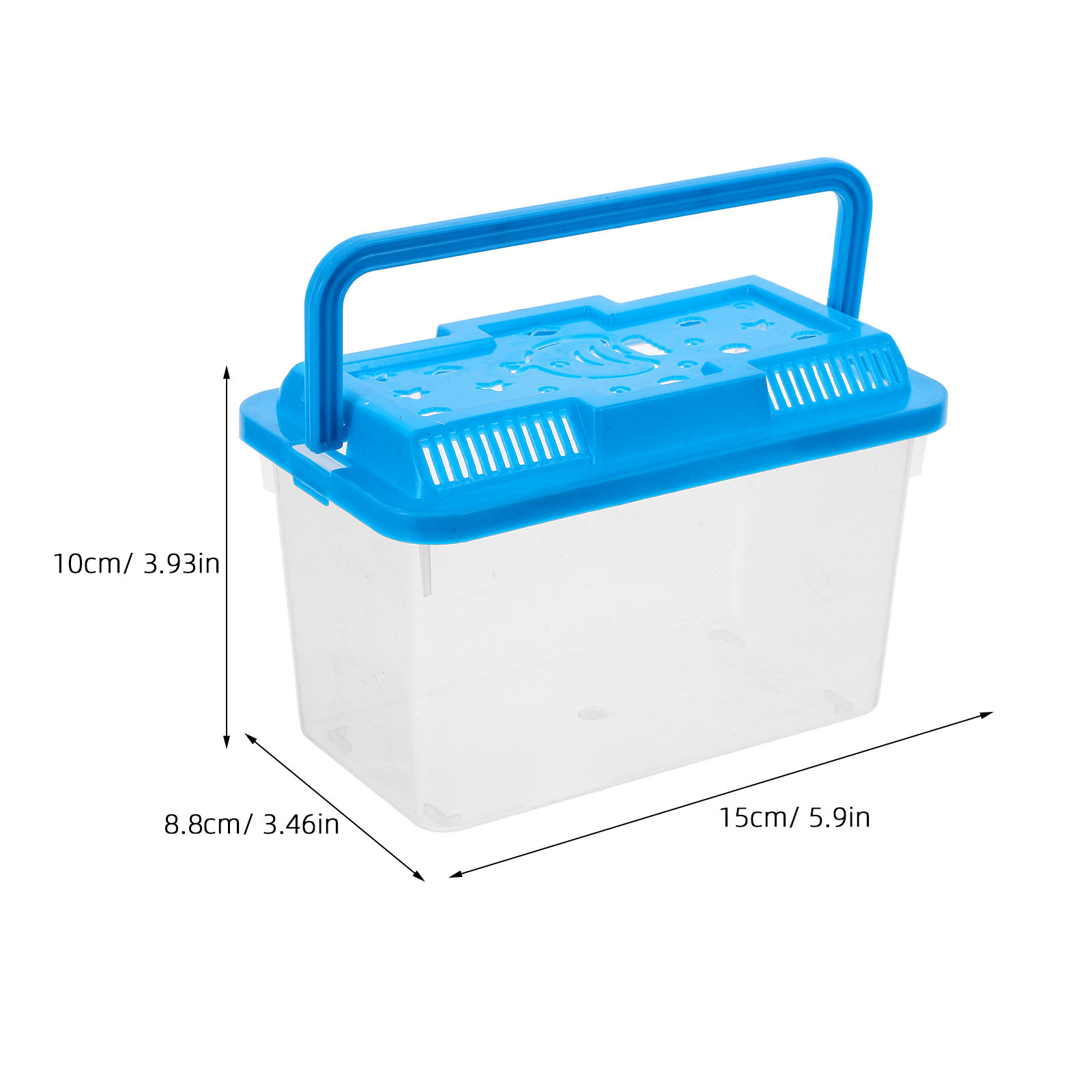 Acquario trasparente per pesci - Betta Fish Tank recensione e prezzo