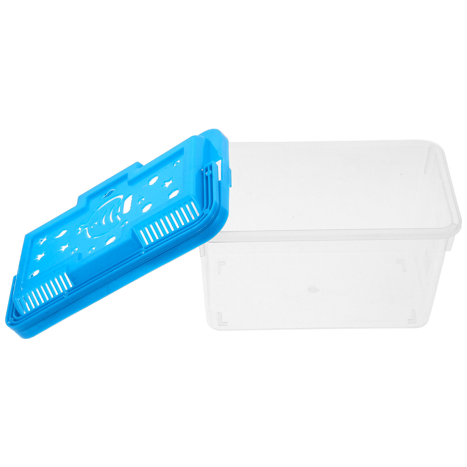 Acquario trasparente per pesci - Betta Fish Tank recensione e prezzo