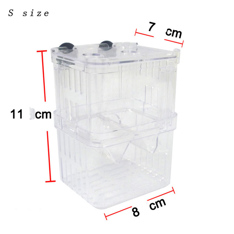 Scatola di isolamento per alle - Betta Fish Tank recensione e prezzo