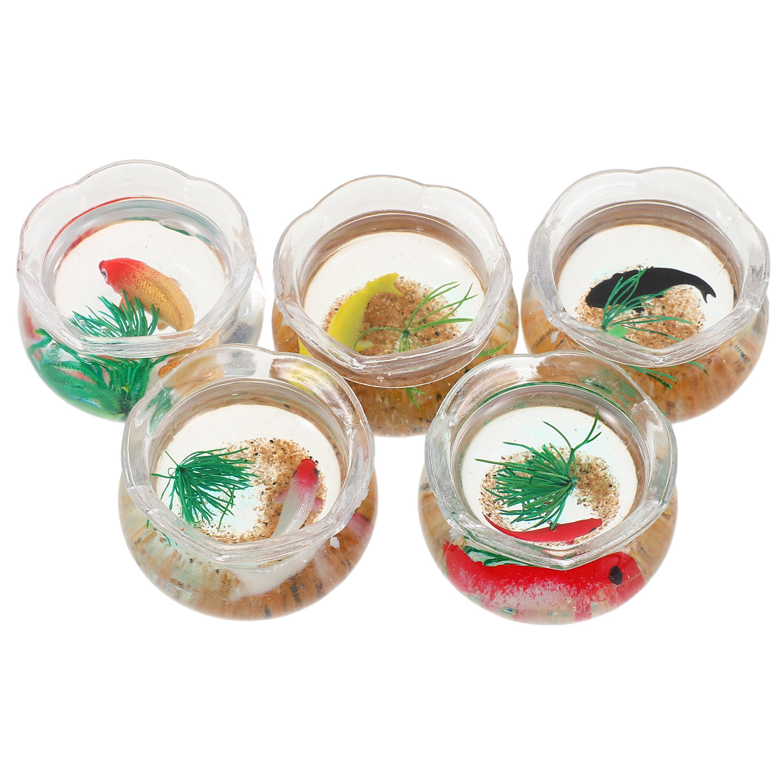 Set da 5 mini acquari per pesc - Aquarium Plants recensione e prezzo